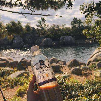 B体育APP官网下载